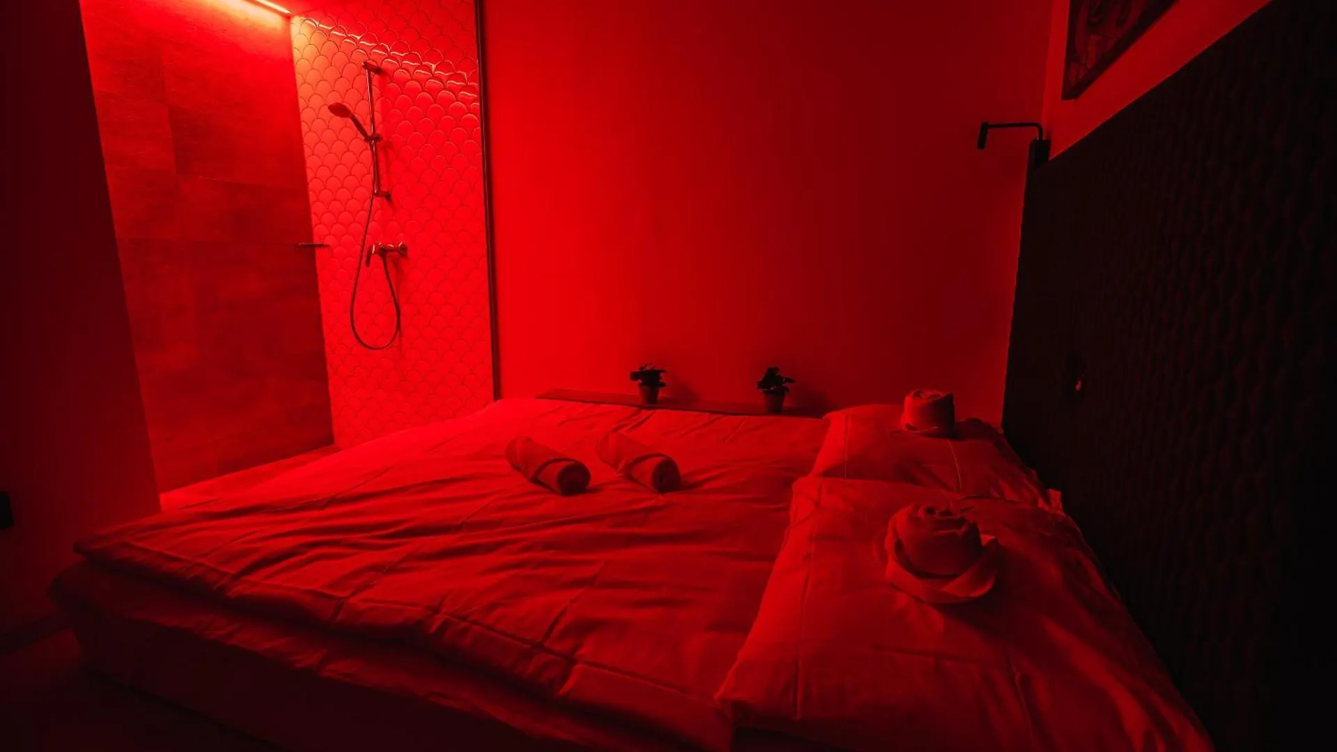 Dragons Dream Hostel contacts
